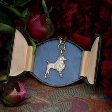 Afbeelding in Gallery-weergave laden, URBAN HIPPIES Poodle chain Gold
